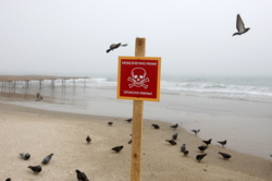 Опасно мины! Полиция призивает не гулять по пляжам Одесской области 