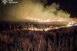 В Одесской области сжигание камыша закончилось масштабным пожаром: огонь охватил 1 га земли