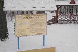 Первый снег засыпал север Одесской области