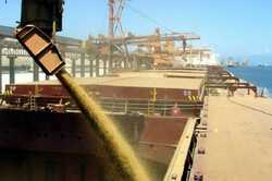 1,5 мільйона тонн агропродукції заблоковано у порту “Південний” 