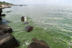 Чорне море почало 