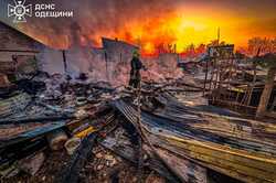 В пожежі на Одещині загинуло з десяток свійських тварин (ФОТО/ВІДЕО)
