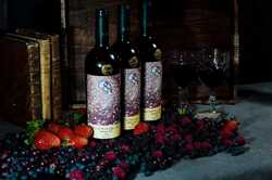 На Одещині з'явиться нова крафтова виноробня: де саме 