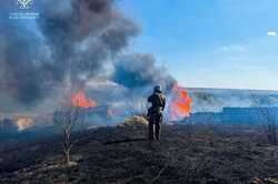 На Одещині за добу сталося 25 пожеж на відкритій місцевості: скільки знищив вогонь