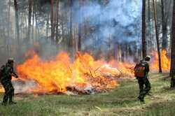 В гідрометцентрі зазвали міста Одещини із підвищеною пожежною небезпекою