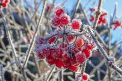 Насуваються заморозки: якою буде погода в Одесі та області 